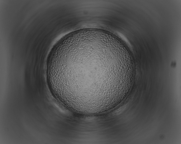 X0000091371035200708311521