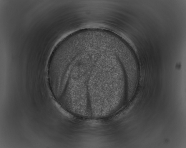 X0000091371037200708311521