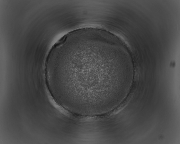 X0000091371038200708311521