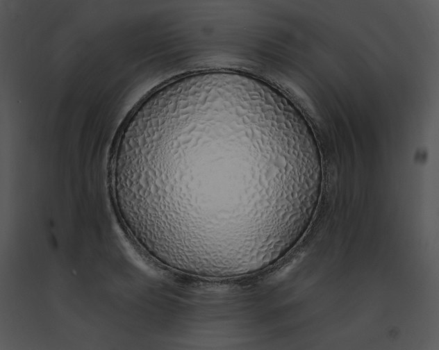 X0000091371039200708311521