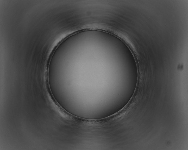 X0000091371040200708311521