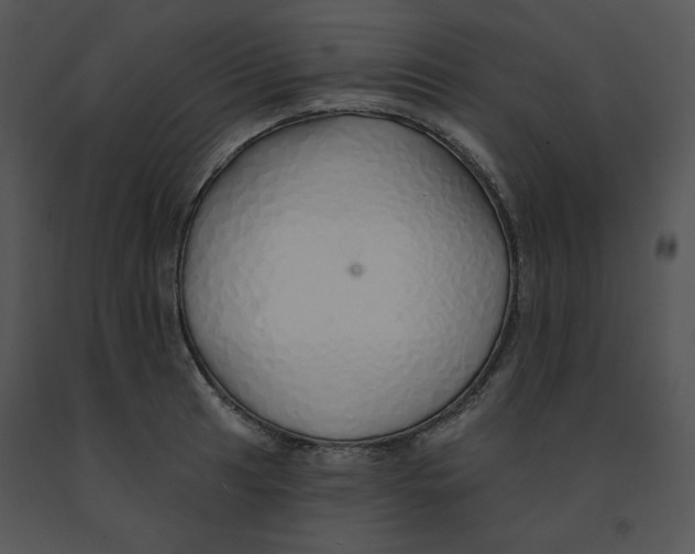 X0000091371041200708311521