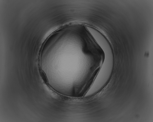 X0000091371042200708311521