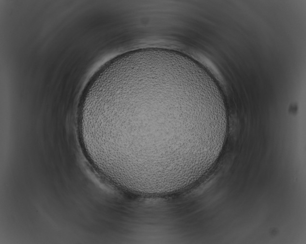 X0000091371043200708311521