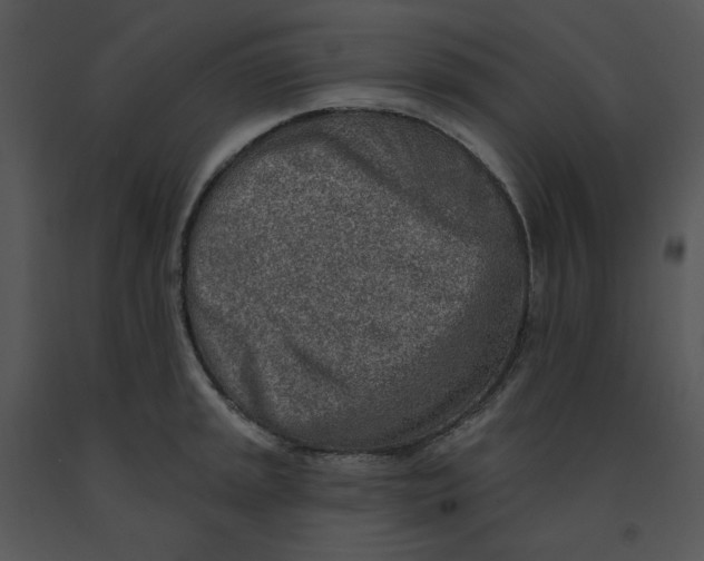 X0000091371045200708311521