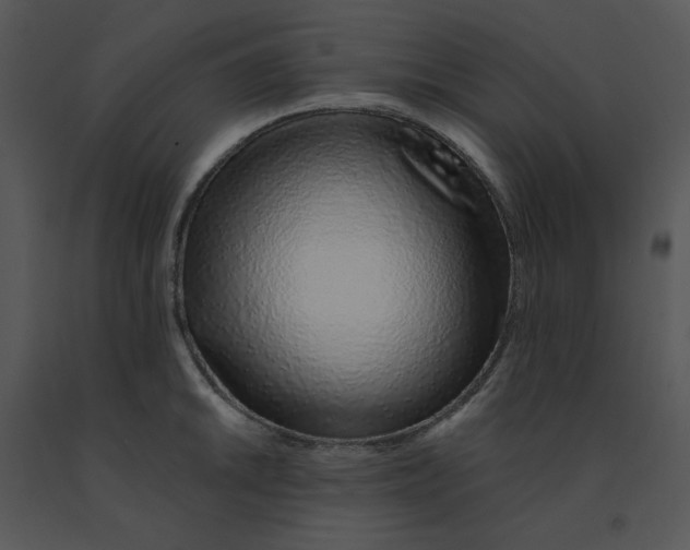 X0000091371046200708311521