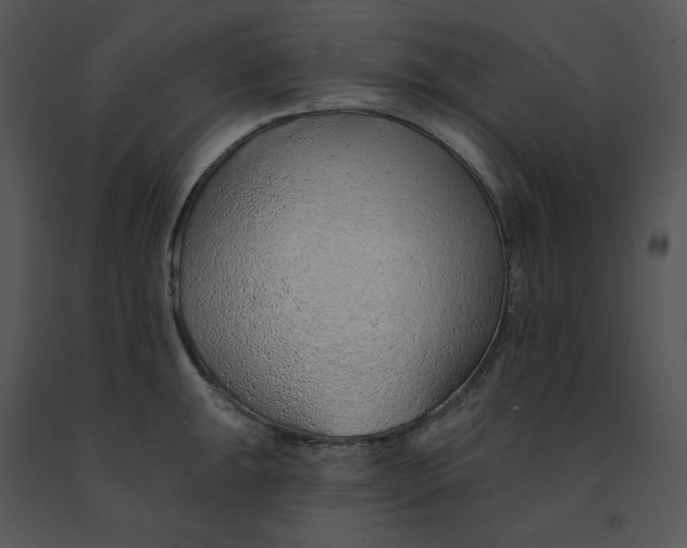 X0000091371047200708311521