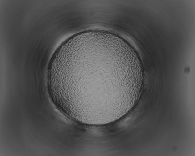 X0000091371048200708311521