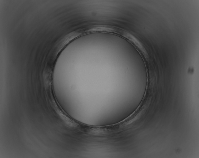 X0000091371049200708311521