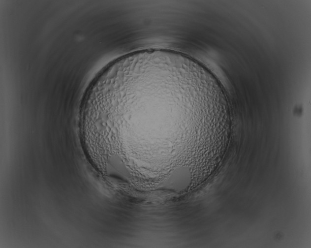 X0000091371051200708311521