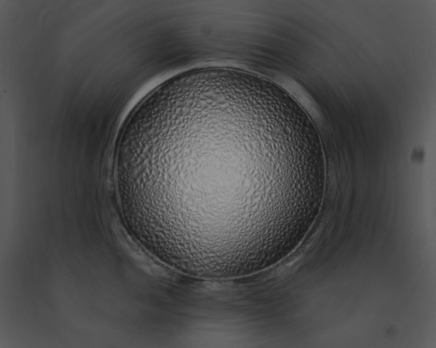 X0000091371052200708311521