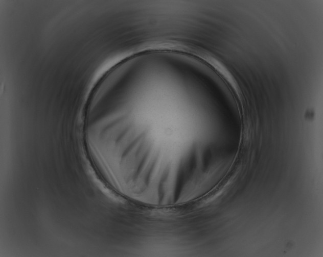 X0000091371053200708311521