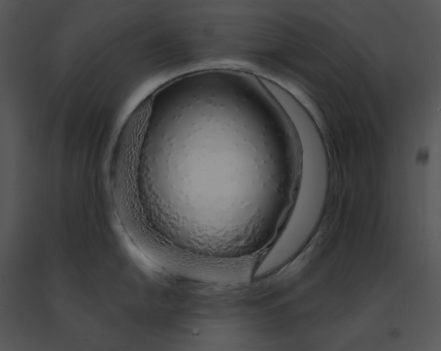 X0000091371054200708311521