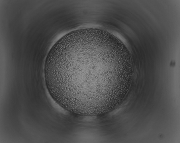 X0000091371055200708311521