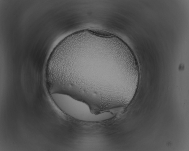 X0000091371056200708311521