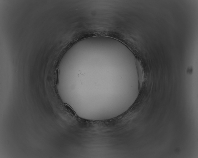 X0000091371057200708311521