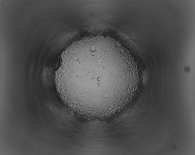 X0000091371059200708311521