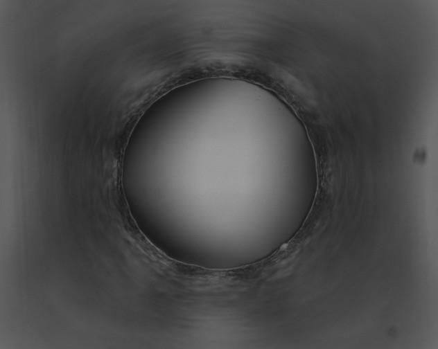 X0000091371061200708311521