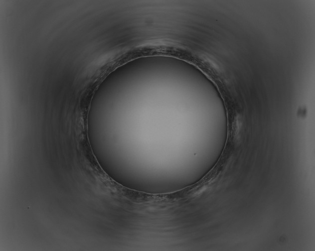 X0000091371062200708311521