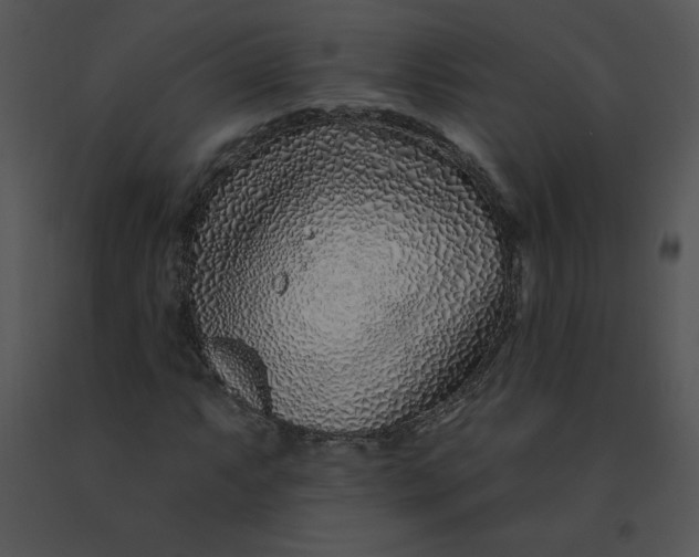 X0000091371063200708311521