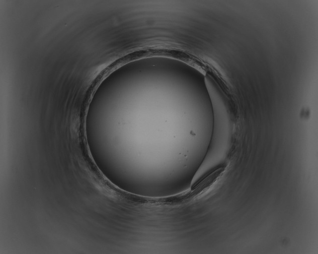 X0000091371065200708311521