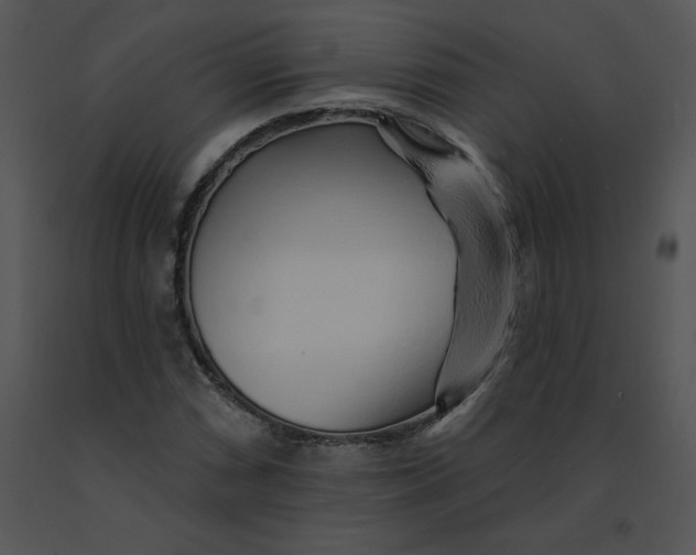 X0000091371066200708311521