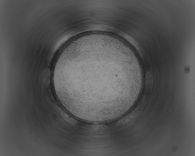 X0000091371067200708311521