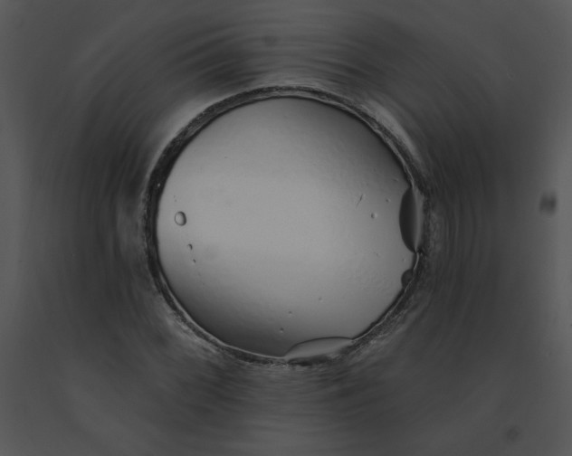 X0000091371068200708311521