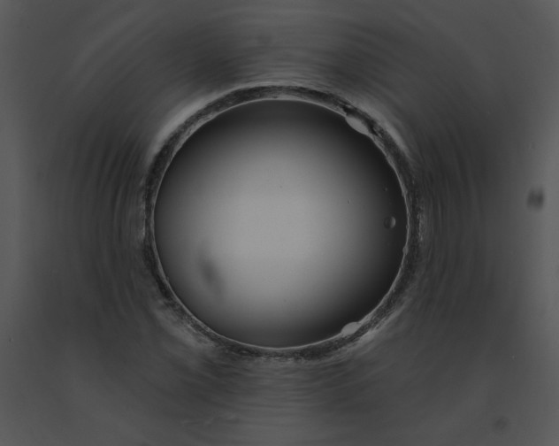 X0000091371069200708311521