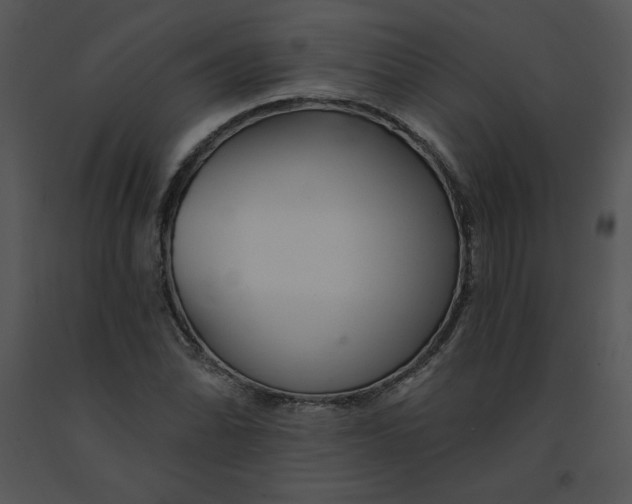 X0000091371070200708311521