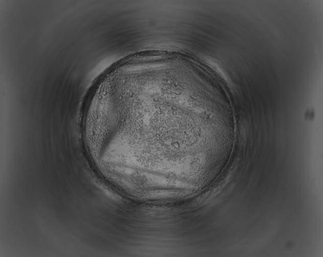 X0000091371071200708311521