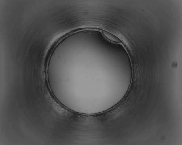 X0000091371072200708311521