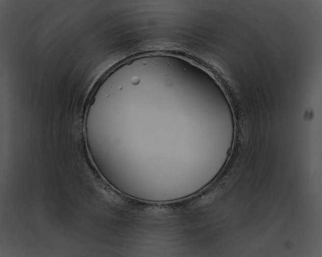 X0000091371073200708311520