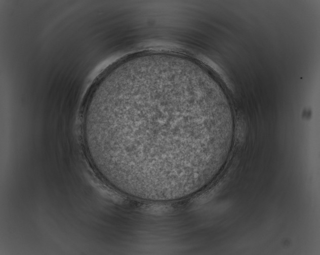 X0000091371074200708311520