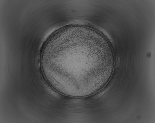 X0000091371075200708311520