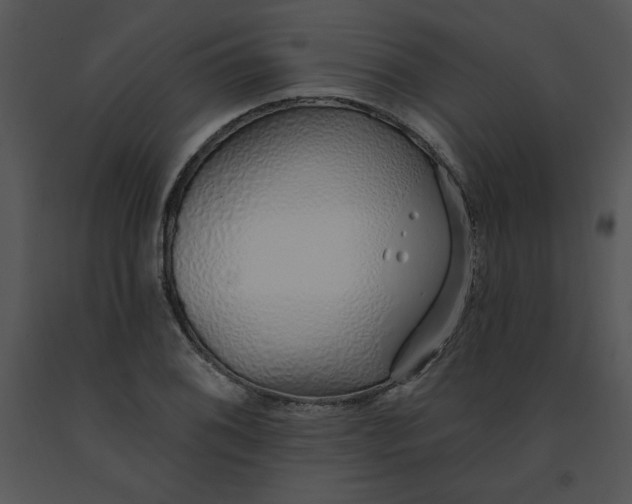 X0000091371076200708311520