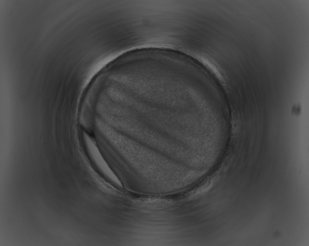 X0000091371077200708311520