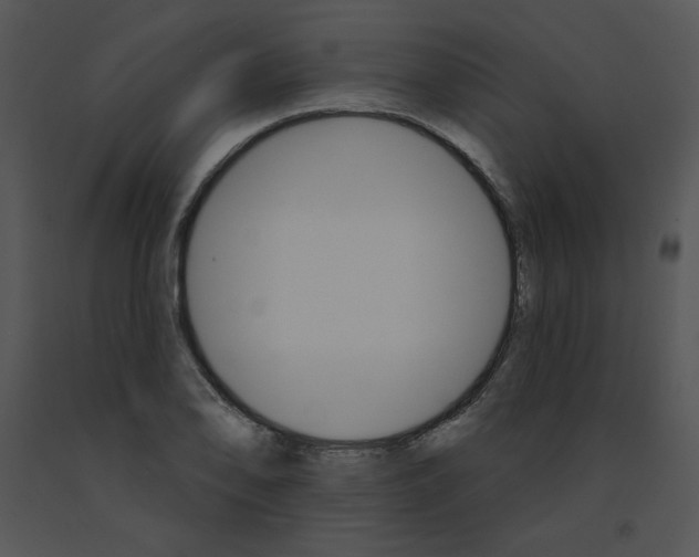 X0000091371078200708311520