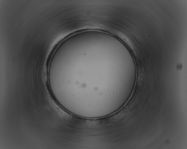 X0000091371080200708311520