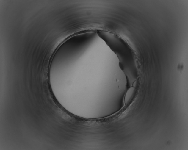 X0000091371081200708311520