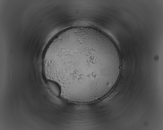 X0000091371083200708311520