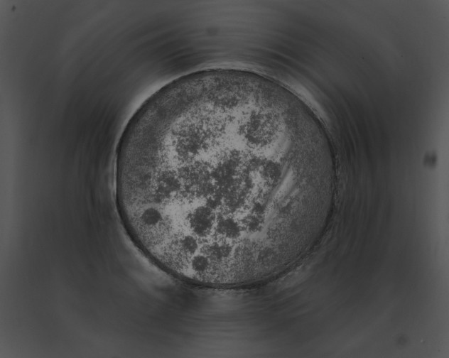 X0000091371084200708311520