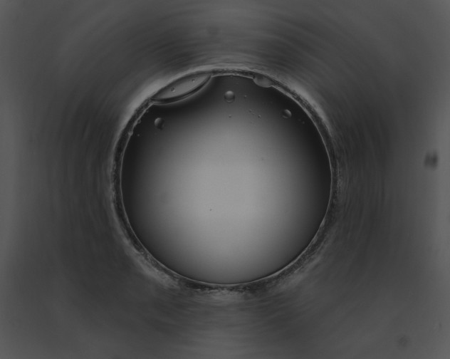 X0000091371085200708311520