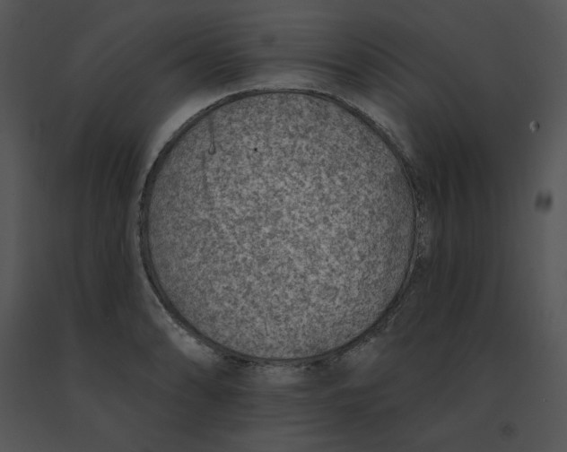 X0000091371086200708311520