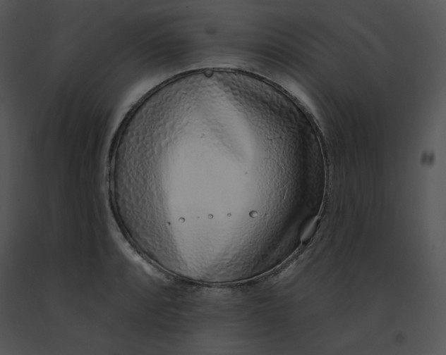 X0000091371088200708311520