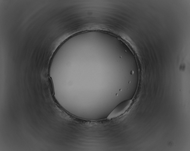 X0000091371089200708311520