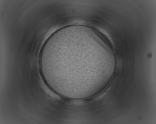 X0000091371090200708311520