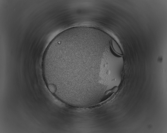 X0000091371091200708311520