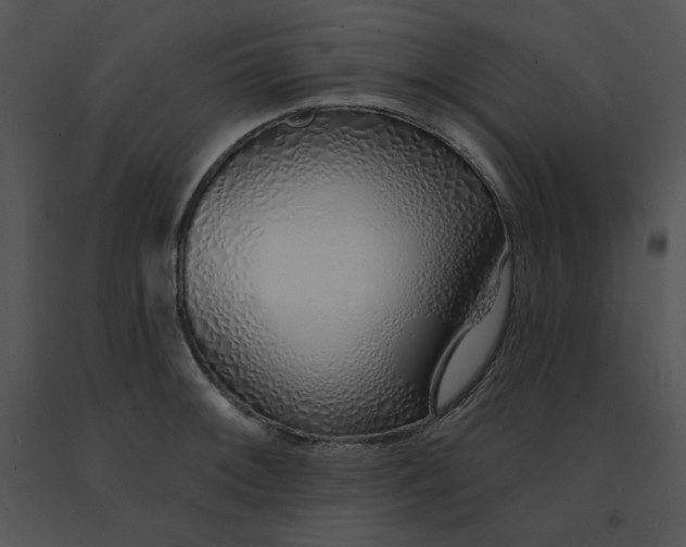 X0000091371092200708311520