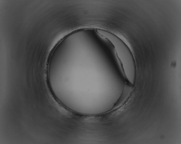 X0000091371093200708311520